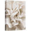 «Ivory Garden Flowers Subtle Floral Elegance» sur-99543051