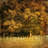 " Fence Row " by Danny Head