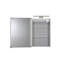 500mm W 766mm H Surface Frameless Medicine Cabinet Mirror 2 Adjustable