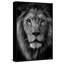Enjoy the Silence 1 Piece Painting-1581626988-1581627030