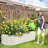 Adker 5 ft x 2 ft Metal Raised Garden Bed-1871628281