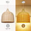 Ulancy Dome Shaped Pendant Light, 1 Light-1818970670