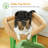 Scratching Post-263041574