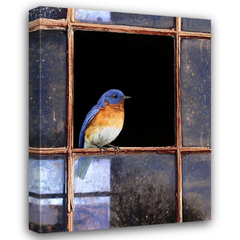 «Red Barrel Studio® Vest», art sur toile tendue par Chris Gallery: Bluebird Window