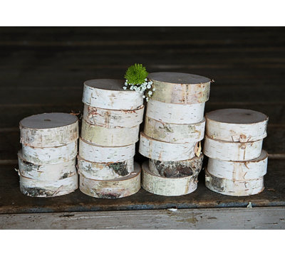 Wilson Birch Rounds Sculpture