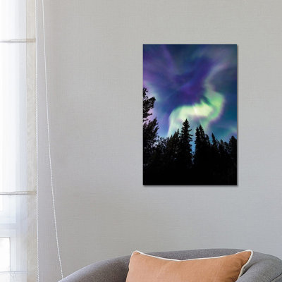 Up in the Sky 1 Piece Wrapped Canvas Wall Art