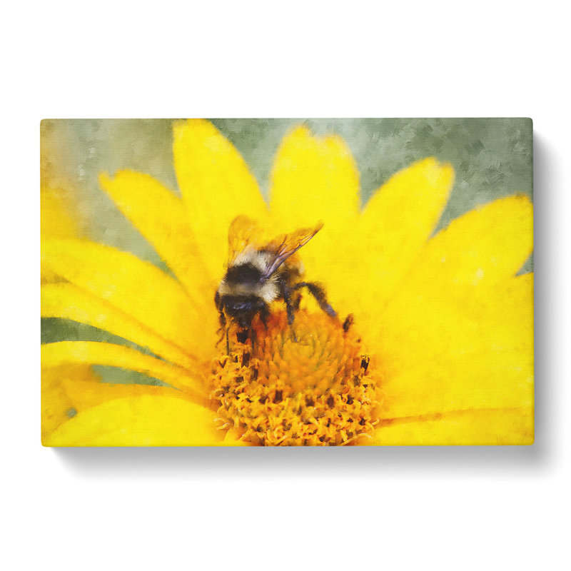 Bee Collecting Pollen Painting - Wrapped Canvas, 40cm H x 60cm W x 3cm D