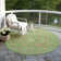 Machine Washable Indoor/Outdoor Xhevrie Lime Rug