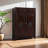 20 Pair Shoe Storage Cabinet