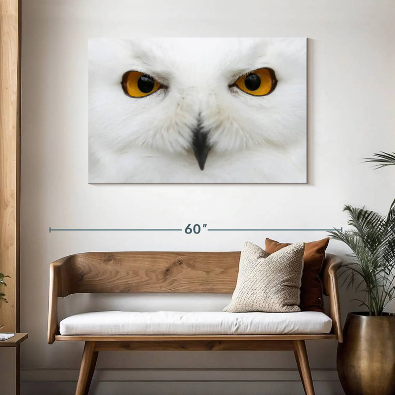 Brampt yeux de chouette des neiges, H 30 po x l 45 po