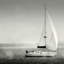 Lake Sail Square I-469598343-436796662-436796669