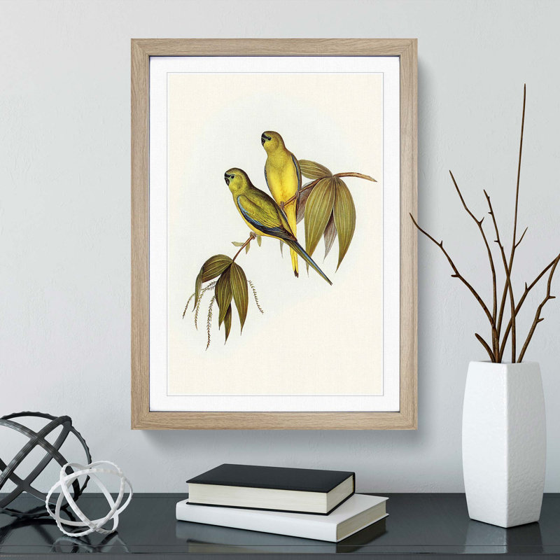 Rock Grass-Parakeets by Elizabeth Gould - Picture Frame Painting Print, 36cm H x 27cm W x 2cm D, Oak Framed