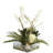 Protea Arrangement in Vase