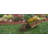 Ardoin Wheelbarrow Planter