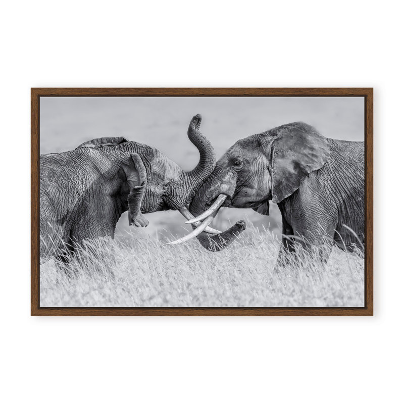 Nature Inspired Elephant Tai Chi by  - Picture Frame Photograph on Paper, 32" H x 48" W x 1.125" D, Framed Print, Beige