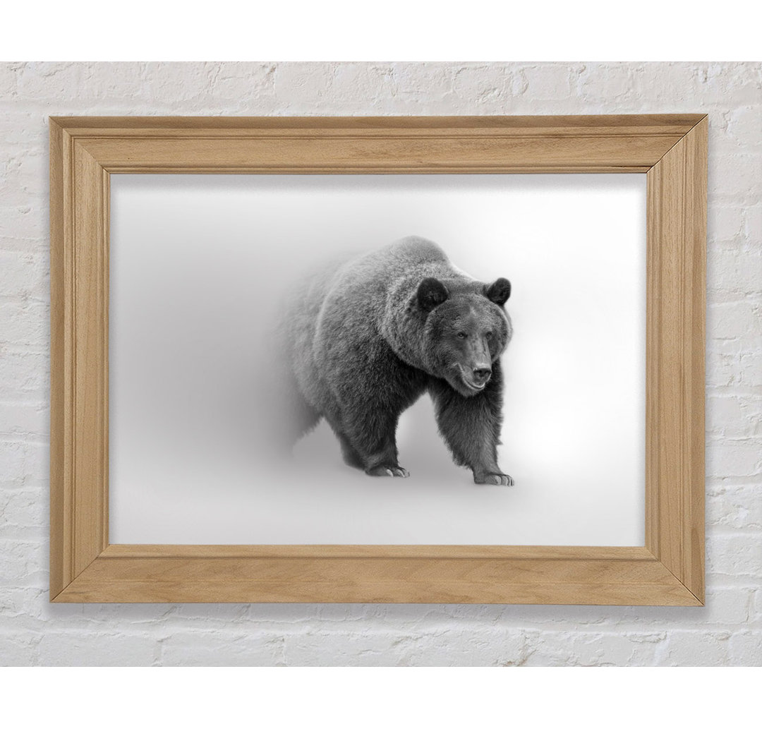 Bear In The Mist - Einzelner Bilderrahmen Kunstdrucke