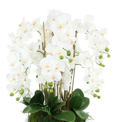 Orchid Floral Arrangement