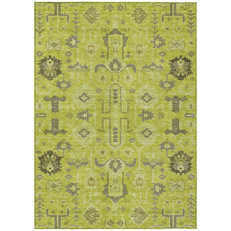 Tapis d'intérieur et d'extérieur lavable à la main vert artichaut 5 pi x 8 pi HomeRoots