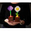 Lampe de lave 10 po Minecraft Daisy and Allium
