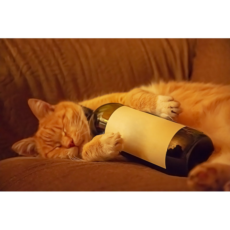 Orange Cat Lying 1 Piece Wrapped Canvas Wall Art, 61cm H x 91cm W x 3.8cm D