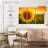 Harnek Sunset Sunflower-107970268