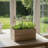 Rectanglar Terrace Planter Short - Ash Brown-1144856569-1144856575