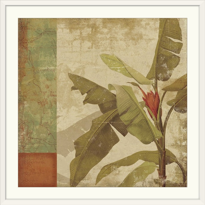 «Planta» par Tessio, impression, Cadre blanc, H 24 po x l 24 po x P 1 po