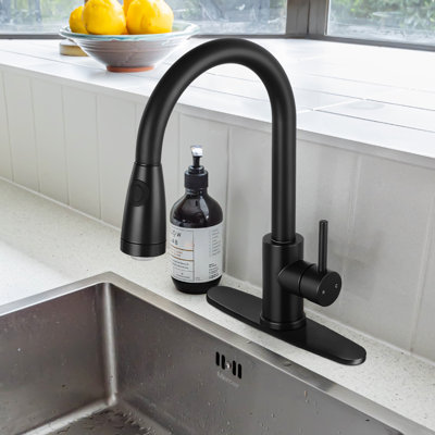 LED Pull Out Kitchen Faucet with Pull Down Sprayer