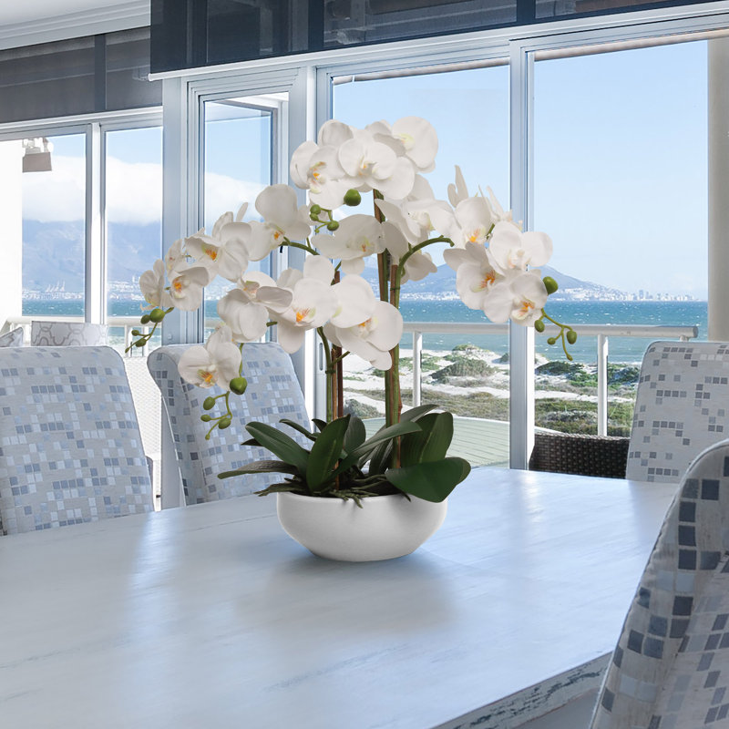 20 "fleurs d'orchidées phalaenopsis blanches dans un pot blanc rond de 8"