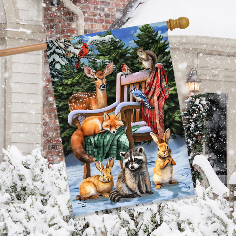Drapeau de la maison des amis d'hiver