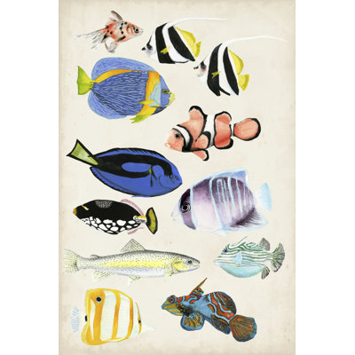 Antique Aquarium II by Naomi McCavitt - Wrapped Canvas Print