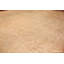 One-of-a-Kind Rectangle 14'7" X 15'9" Area Rug