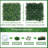 Artificial Grass Wall Panels Backdrop,10"X 10"(12Pcs) Faux Boxwo...
