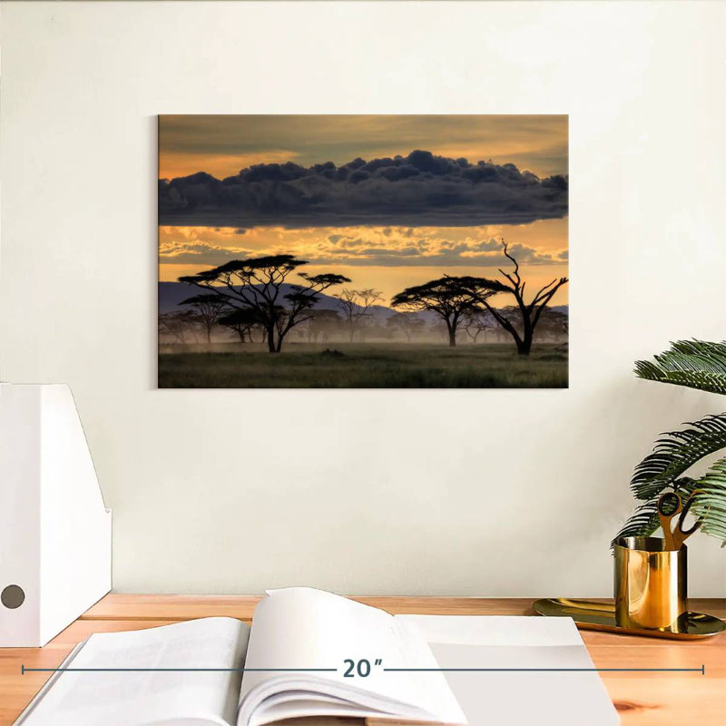 Nicci Good Evening, Tanzanie, H 8 po x l 12 po