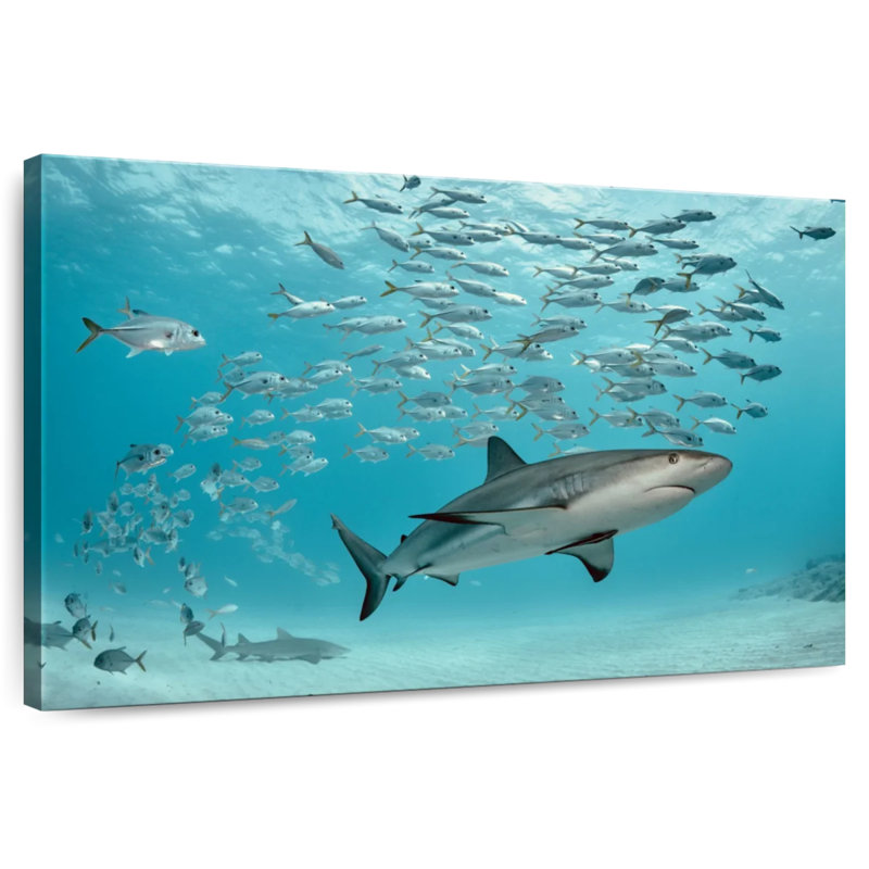 Brampt Caribbean Fish And Sharks, 20" H x 30" W
