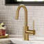 Oletto™ Single Handle Kitchen Bar Faucet-64808455