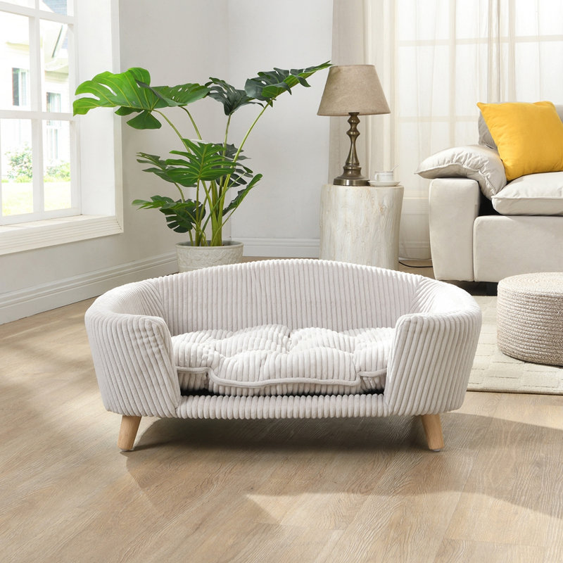 Lit pour chien moderne et contemporain, Beige