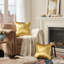 Ensemble de 4 housses de coussin en velours de luxe, housse décorative douce pour canapé-lit, salon, canapé, chambre à coucher-118196146-118034450