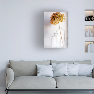 Blaise Montfort  Hydrangea Canvas Art