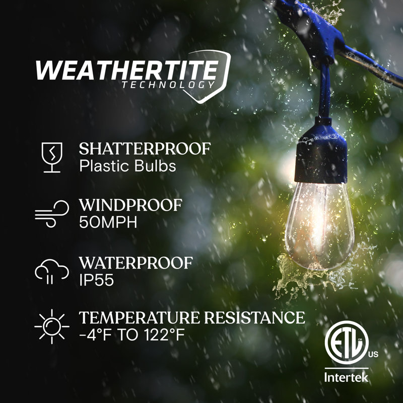Ambience Pro 12-Light 27 ft. Outdoor Solar LED 2-Watt S14 2700K Warm White Bulb String Lights