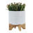 8" Textured Planter W/ Stand
