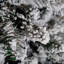 FROSTED ANDERS FIR - Artificial Christmas Tree-242944600