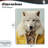 Snow Wolf Yellow Jacket Wall Plaque, design by Ray Powers