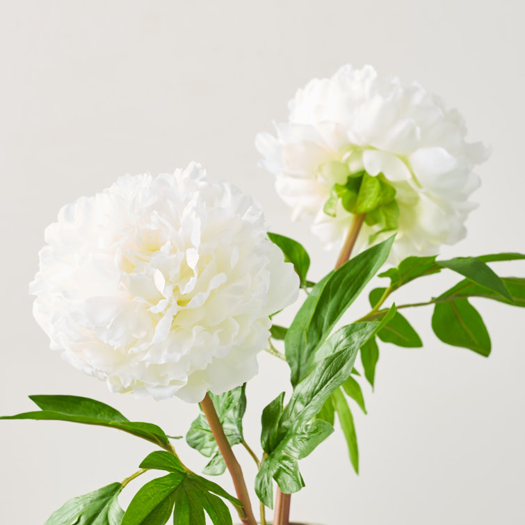 Darby Creek Trading Peony Floral Arrangements in Vase | Perigold