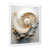 White Single Picture Framed