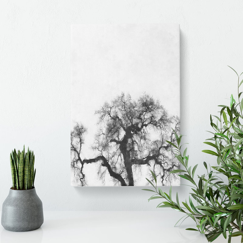 Old Oak Tree - Wrapped Canvas Print, 60cm H x 40cm W x 3cm D