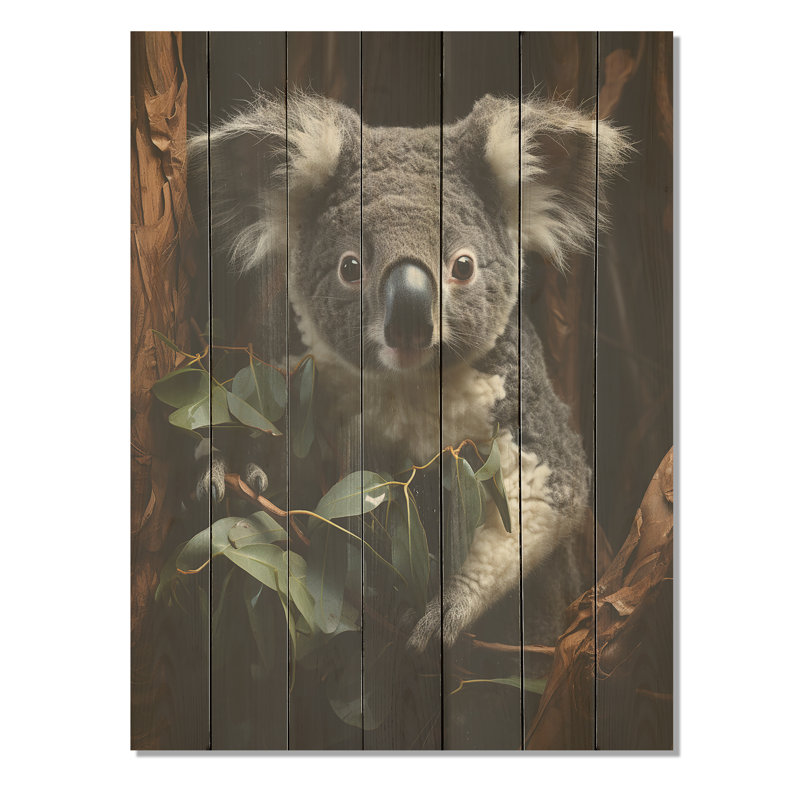 Koala gris grimpeur I - animal koala sur bois, H 32 po x l 24 po