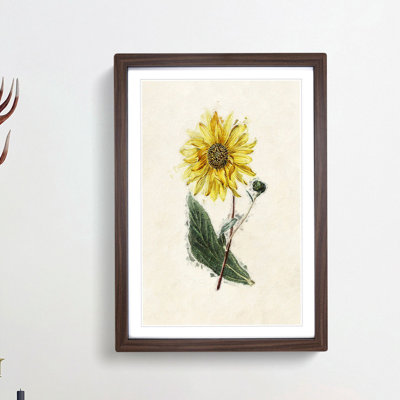 Illustration of a Yellow Sunflower - Picture Frame Painting Print