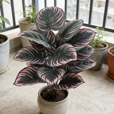 1 pièce de plantes artificielles, 29 pouces de hauteur, décoration de magie noire Taro, décoration de la maison, salon, bureau, verdure décorative (contenant non inclus)