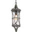 Lanterne suspendue d'extérieur à 1 ampoule Pattison H 22 po Pattison-1930731229
